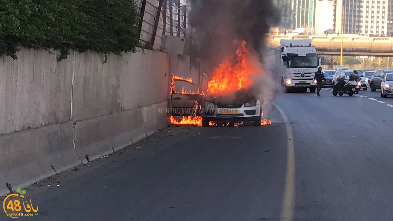 fire ayalooonhasgrq (12).jpg